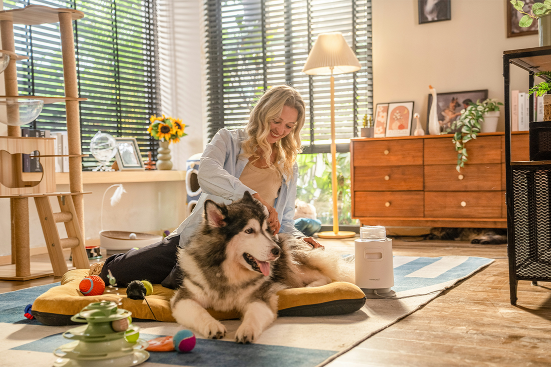 A woman happily petting her large Husky dog on a cozy dog bed in a bright, well-decorated living room