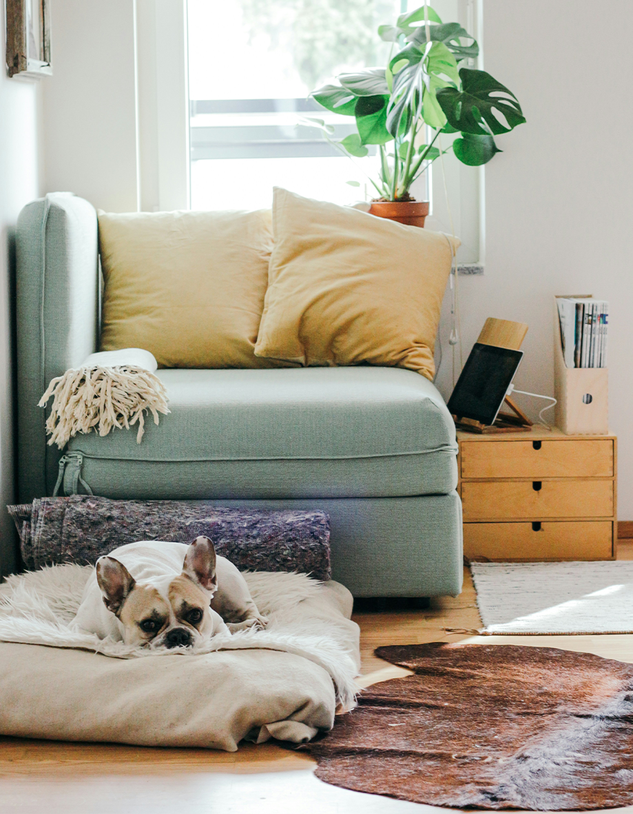Linen & Cloud Pet Lounger Mat — Natural Comfort for Dogs & Cats