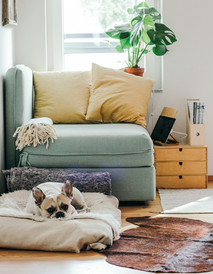 Linen & Cloud Pet Lounger Mat — Natural Comfort for Dogs & Cats